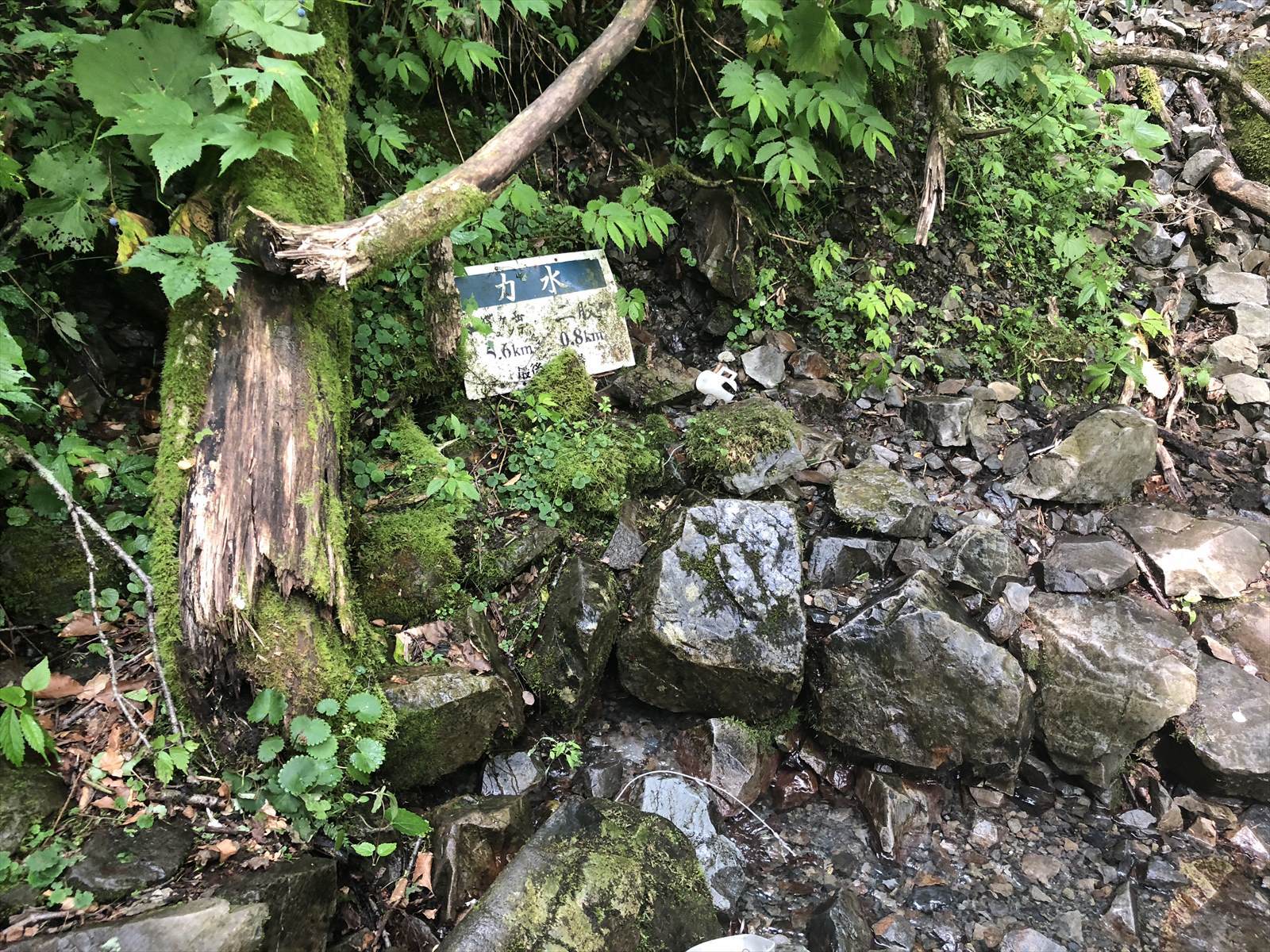 c0337813_16271679.jpg