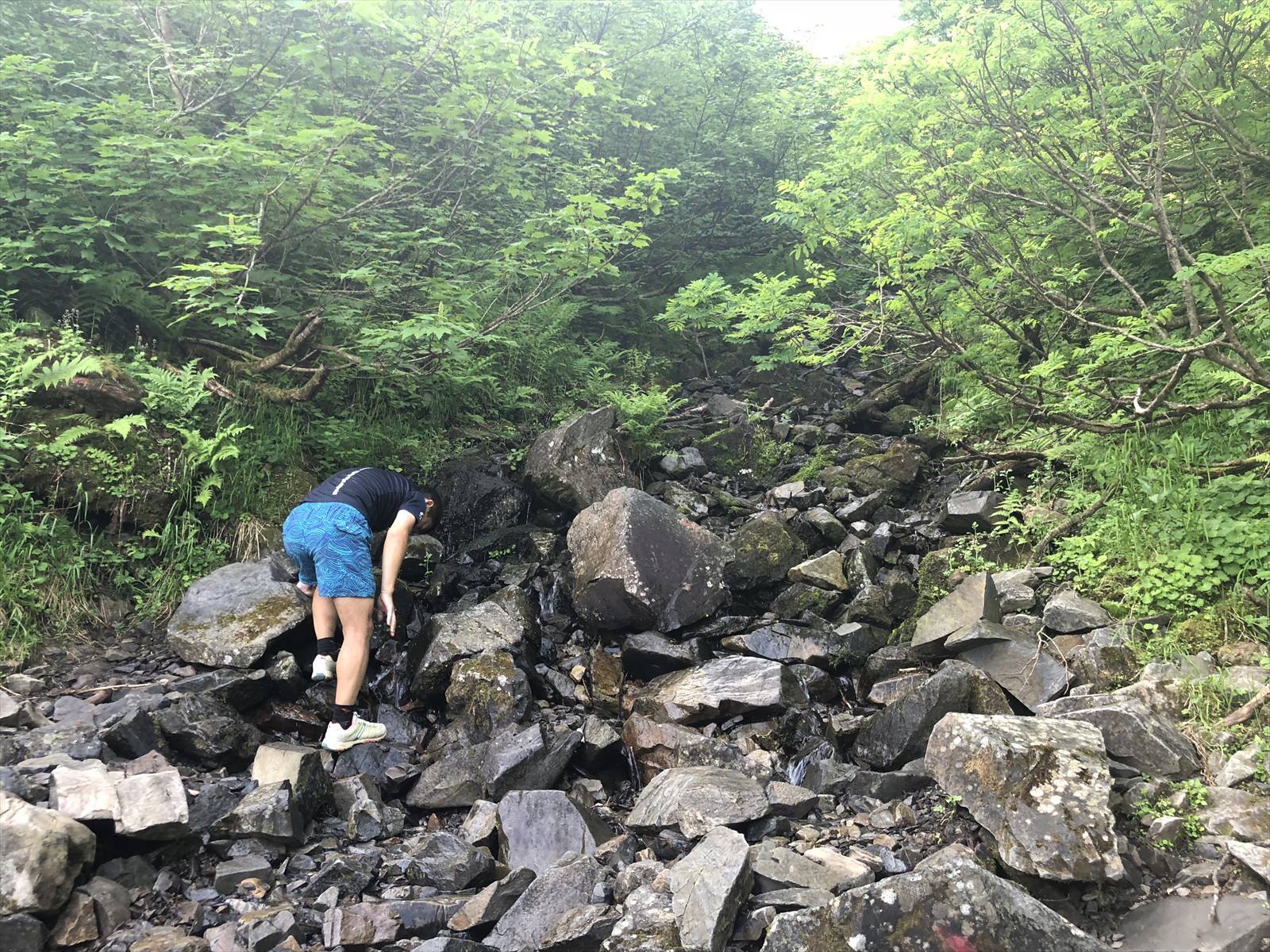 c0337813_16273112.jpg