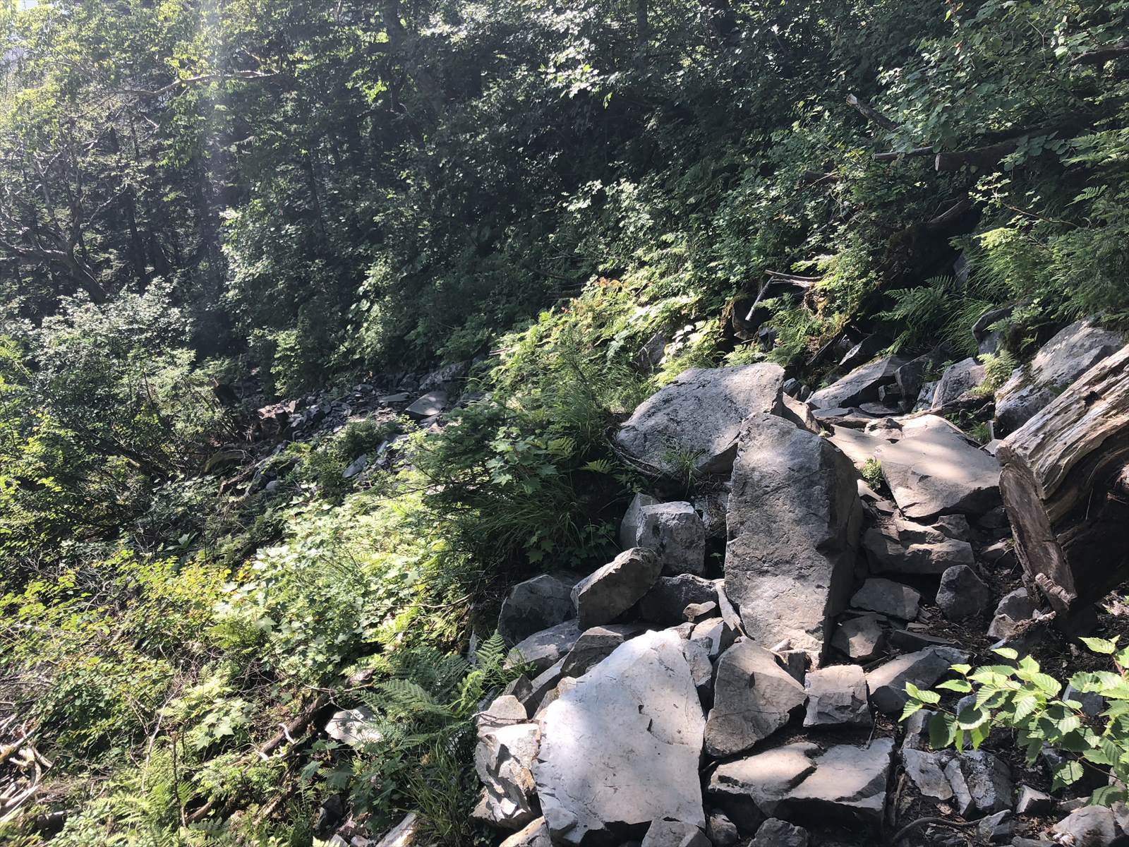 c0337813_16273642.jpg