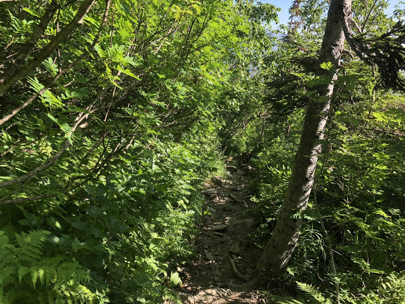 c0337813_16273947.jpg