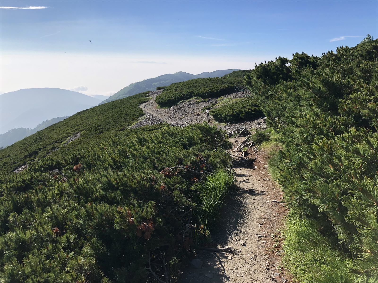 c0337813_16274746.jpg