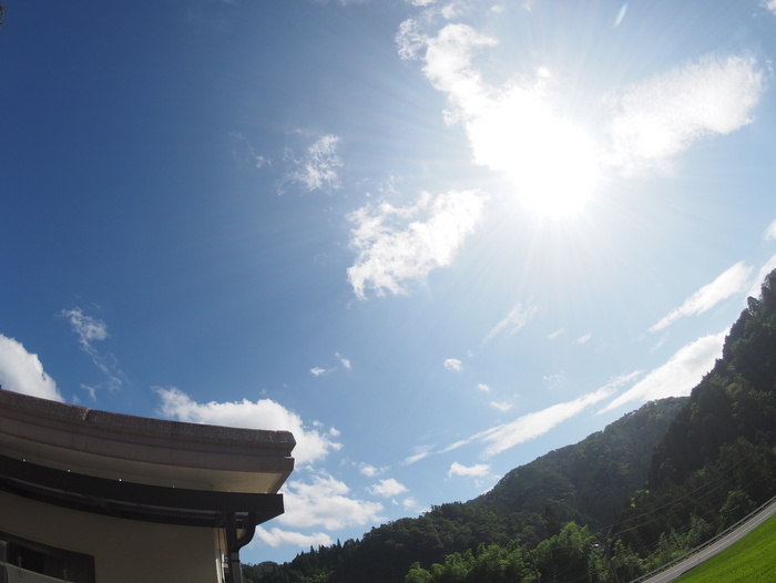 いいお天気!_c0116915_23552608.jpg
