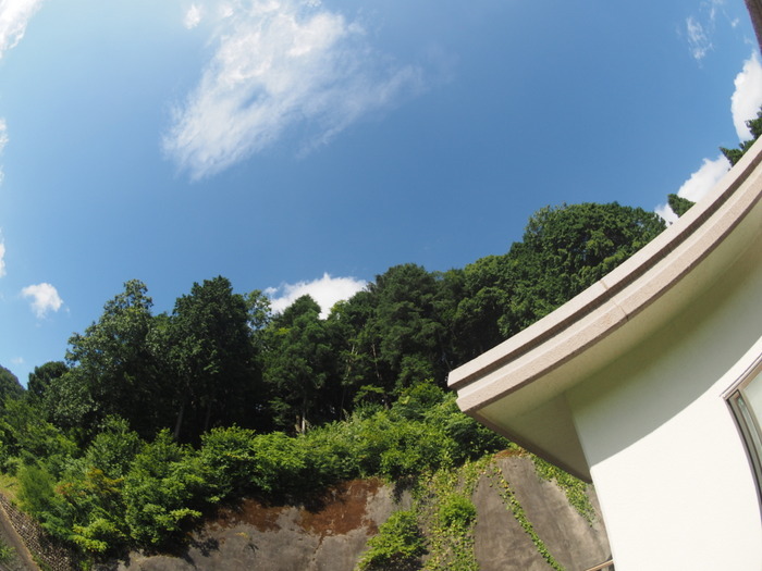 いいお天気!_c0116915_23553779.jpg