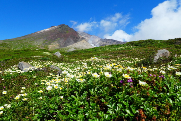 ＊＊＊＊＊ 北海道登山旅行　日本百名山 旭岳他　ピックアップ編 ＊＊＊＊＊_d0170615_09483203.jpg