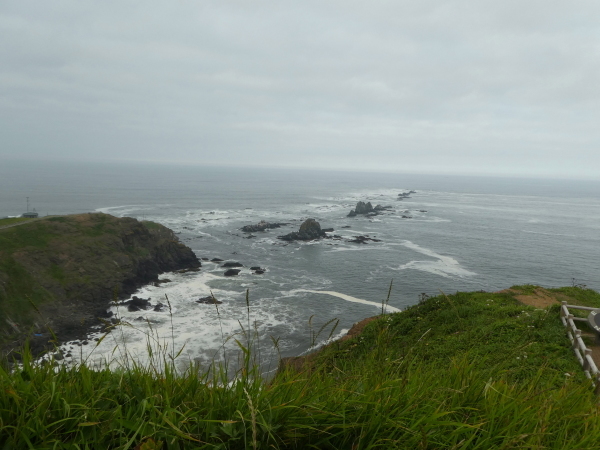 ＊＊＊＊＊ 北海道登山旅行　日本百名山 旭岳他　ピックアップ編 ＊＊＊＊＊_d0170615_09494263.jpg