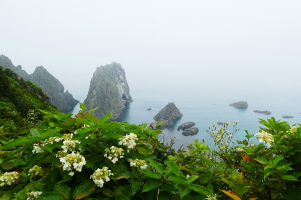 ＊＊＊＊＊ 北海道登山旅行　日本百名山 旭岳他　ピックアップ編 ＊＊＊＊＊_d0170615_09501358.jpg