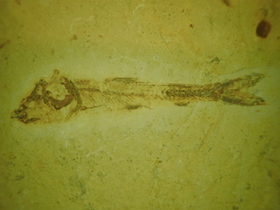 d0106518_22453524.jpg