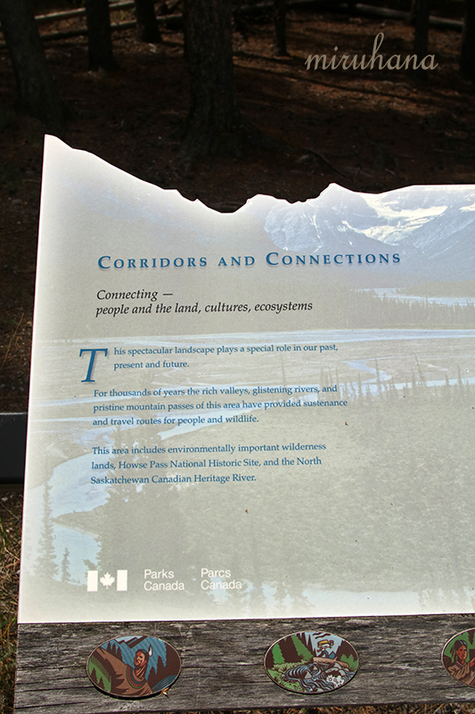 c0037519_23432222.jpg