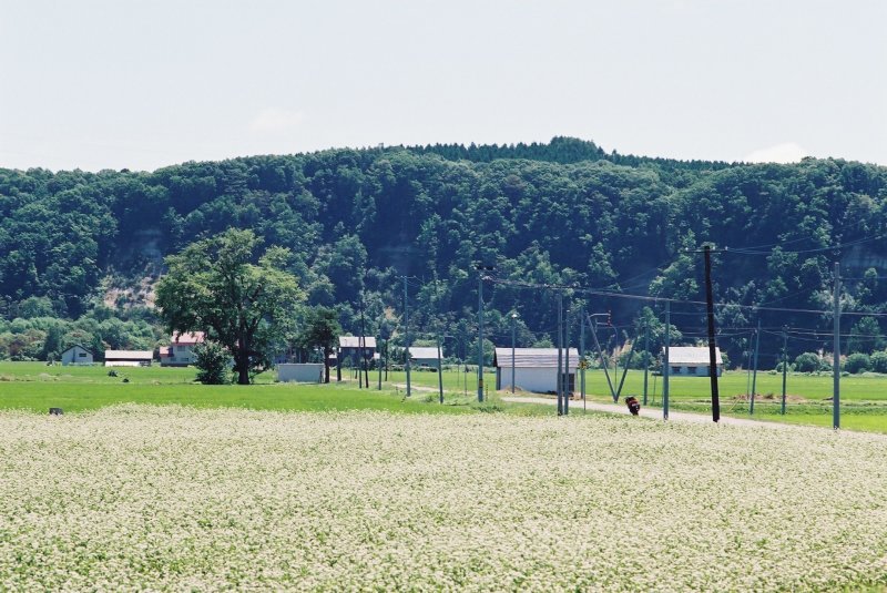 f0362725_17264062.jpg
