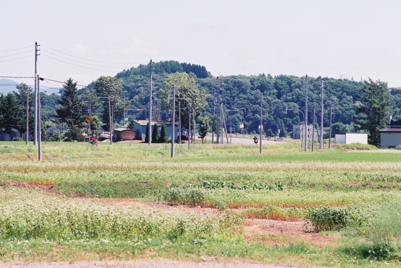 f0362725_17290373.jpg