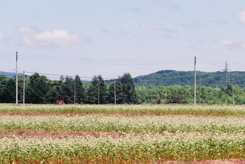 f0362725_17291349.jpg