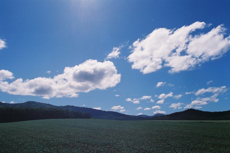 f0362725_17310063.jpg