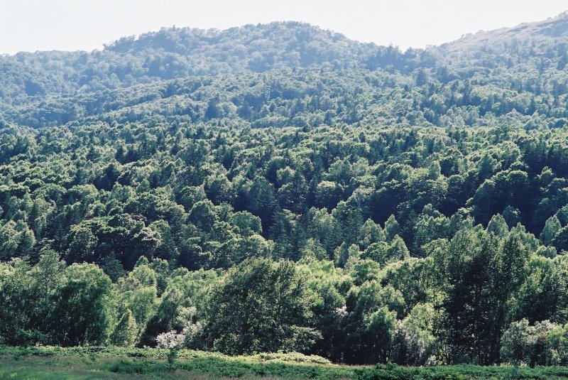 f0362725_17335770.jpg