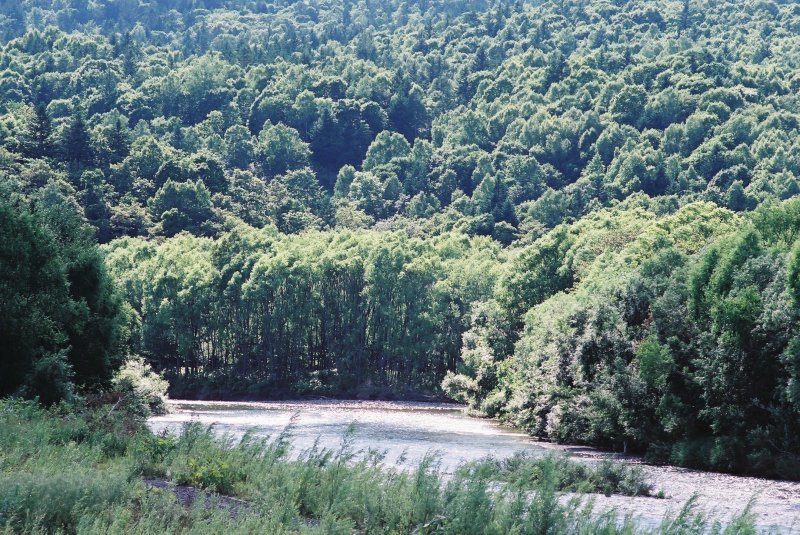 f0362725_17342440.jpg