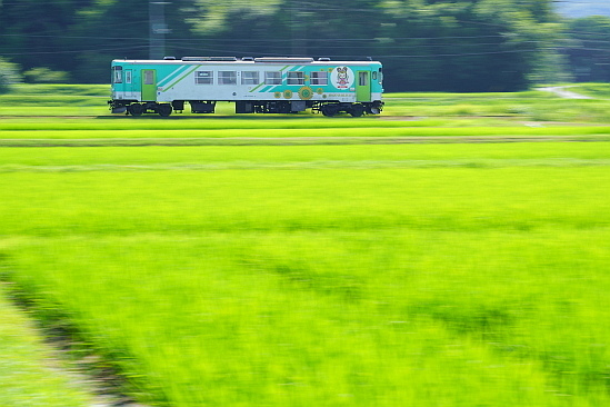 7月21日 夏空、田んぼ、ひまわり_f0037227_19365790.jpg