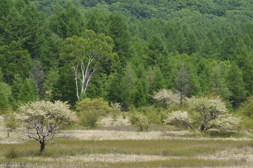 e0362037_22105462.jpg