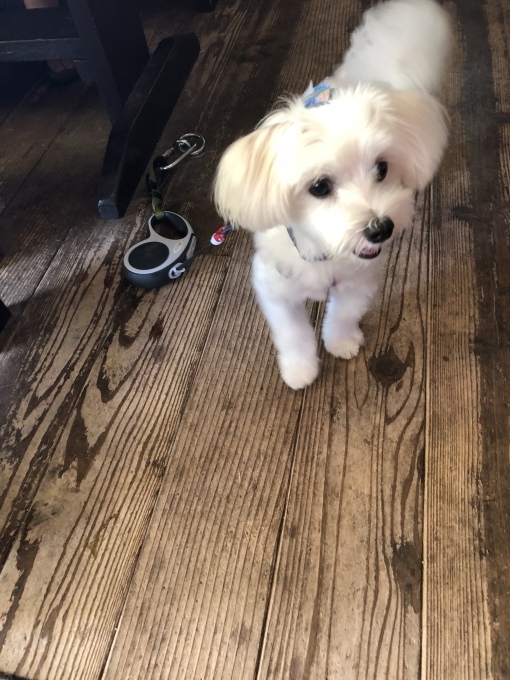 b0369239_11511435.jpeg