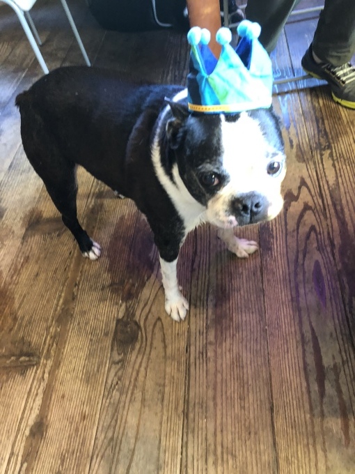 b0369239_11563359.jpeg