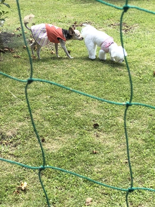 b0369239_12022255.jpeg