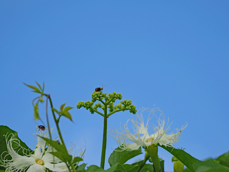 d0290240_11224790.gif