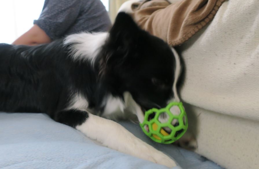 c0147241_16390884.jpg