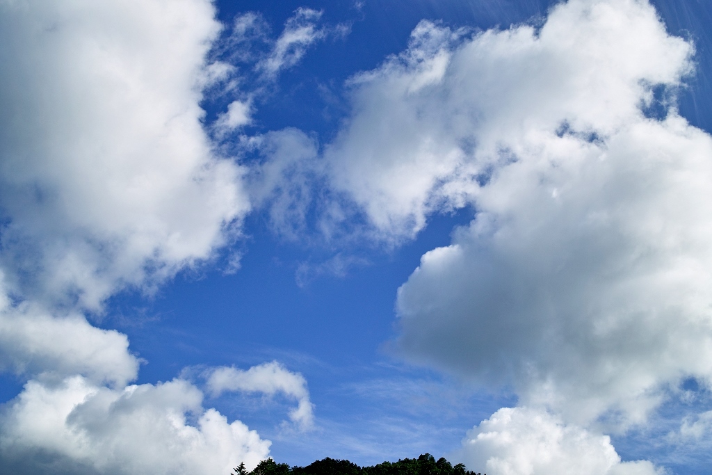 テントを持って、旅にでよう！・・・台風二過のハレ_d0005250_1773550.jpg