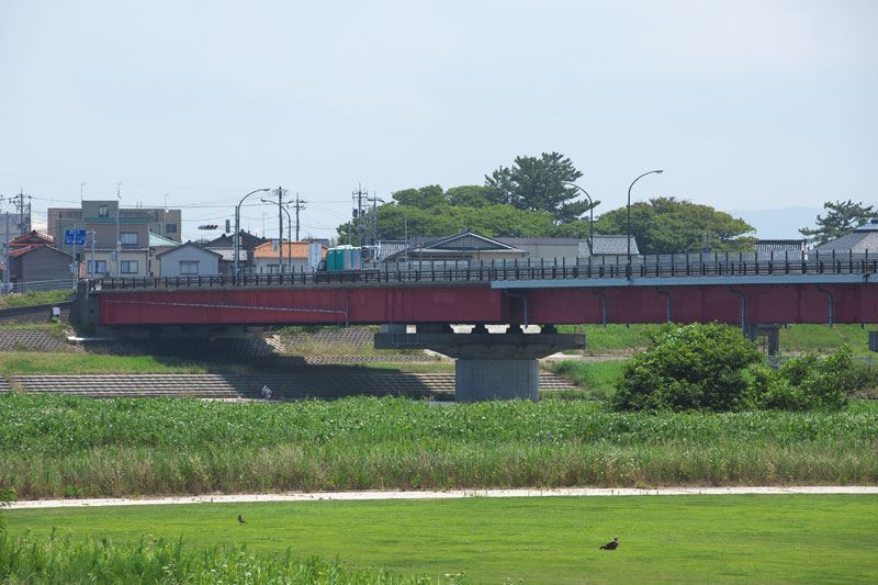 d0342652_17503696.jpg