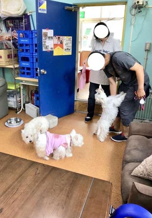 f0363961_06445364.jpeg