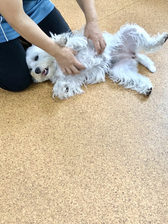 f0363961_06482989.jpeg