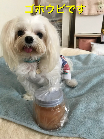 b0193480_14130972.jpeg