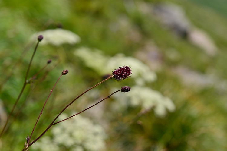 d0341880_07484333.jpg