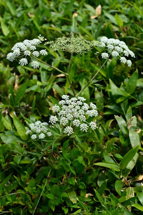 d0341880_07510173.jpg