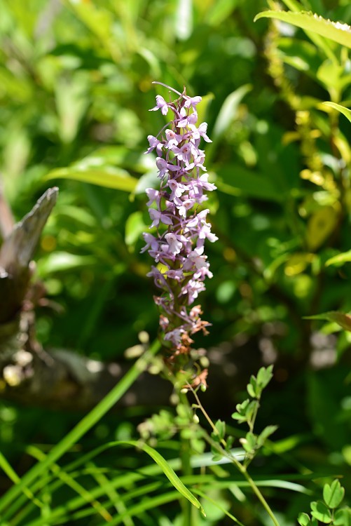 d0341880_07520743.jpg
