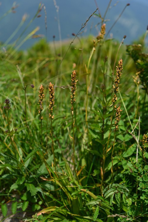 d0341880_08014305.jpg