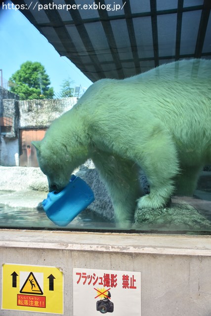 2018年7月 とくしま動物園 その1_a0052986_722848.jpg