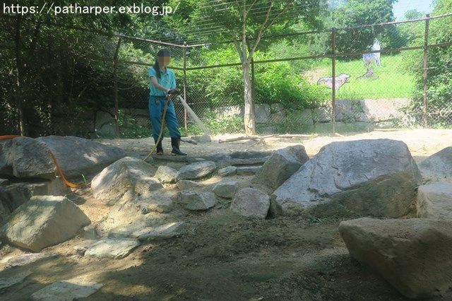 2018年7月 とくしま動物園 その1_a0052986_733793.jpg