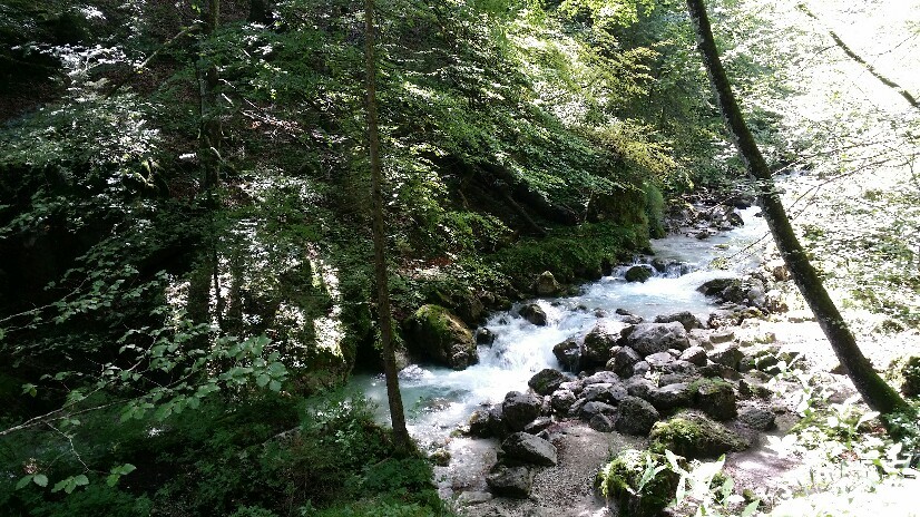 b0169887_04122896.jpg
