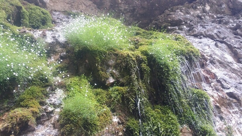 b0169887_04182921.jpg