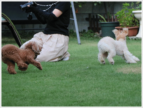 b0175688_23542330.gif