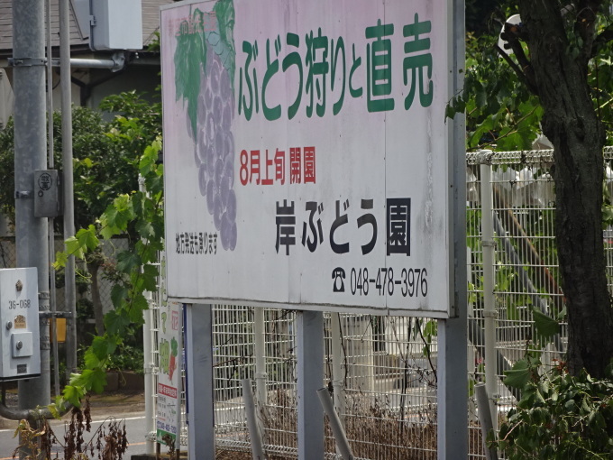 チャリで平林寺へ!2_b0210688_06090950.jpg