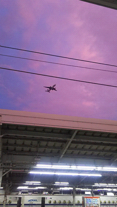 e0199691_02021590.gif