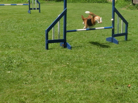 a0319693_7433084.jpg