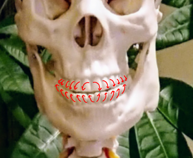 e0167593_23573064.png
