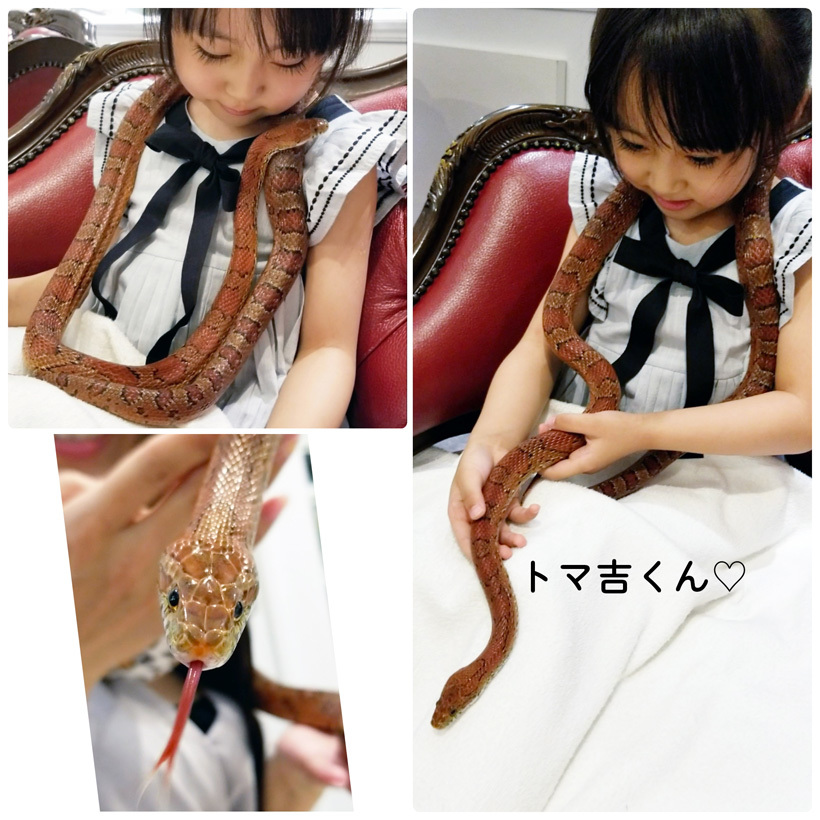 ヘビさんと触れ合えました&3連のセミの抜け殻…!!_d0224894_23455139.jpg