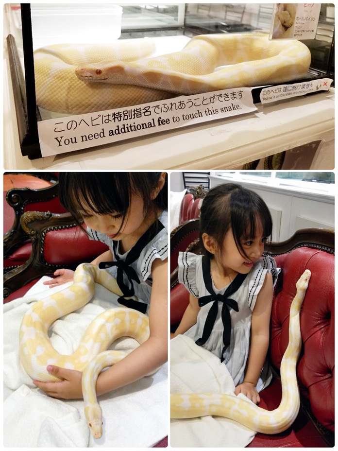 ヘビさんと触れ合えました&3連のセミの抜け殻…!!_d0224894_23501074.jpg