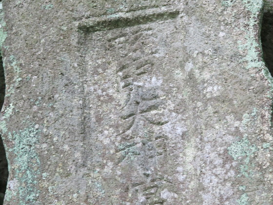 a0166196_1614956.jpg