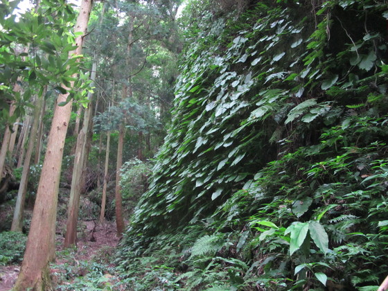 a0166196_16231342.jpg