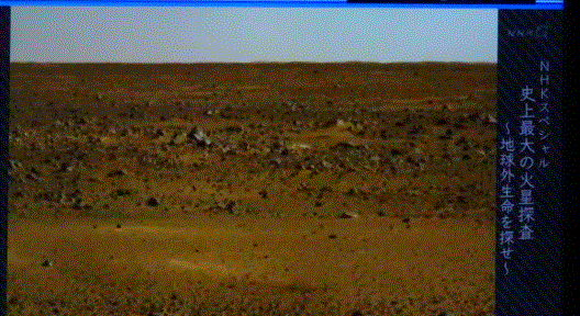 f0231709_11312835.gif