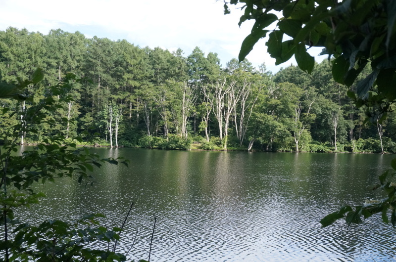 d0359010_11532298.jpg