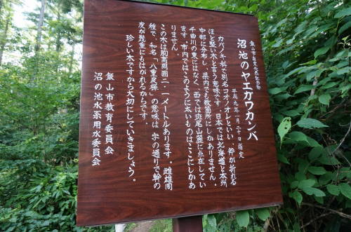 d0359010_12112646.jpg